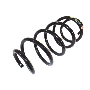 Coil Spring